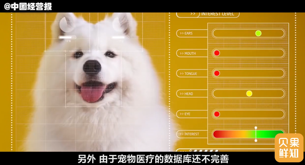 宠物医院_宠物医院投资大概多少_宠物医院加盟