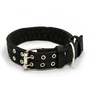 宠物医院加盟大概要多少钱_宠物医院_宠物医院需要什么资质