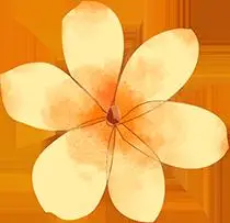 运输公司_运输汽车的物流_运输