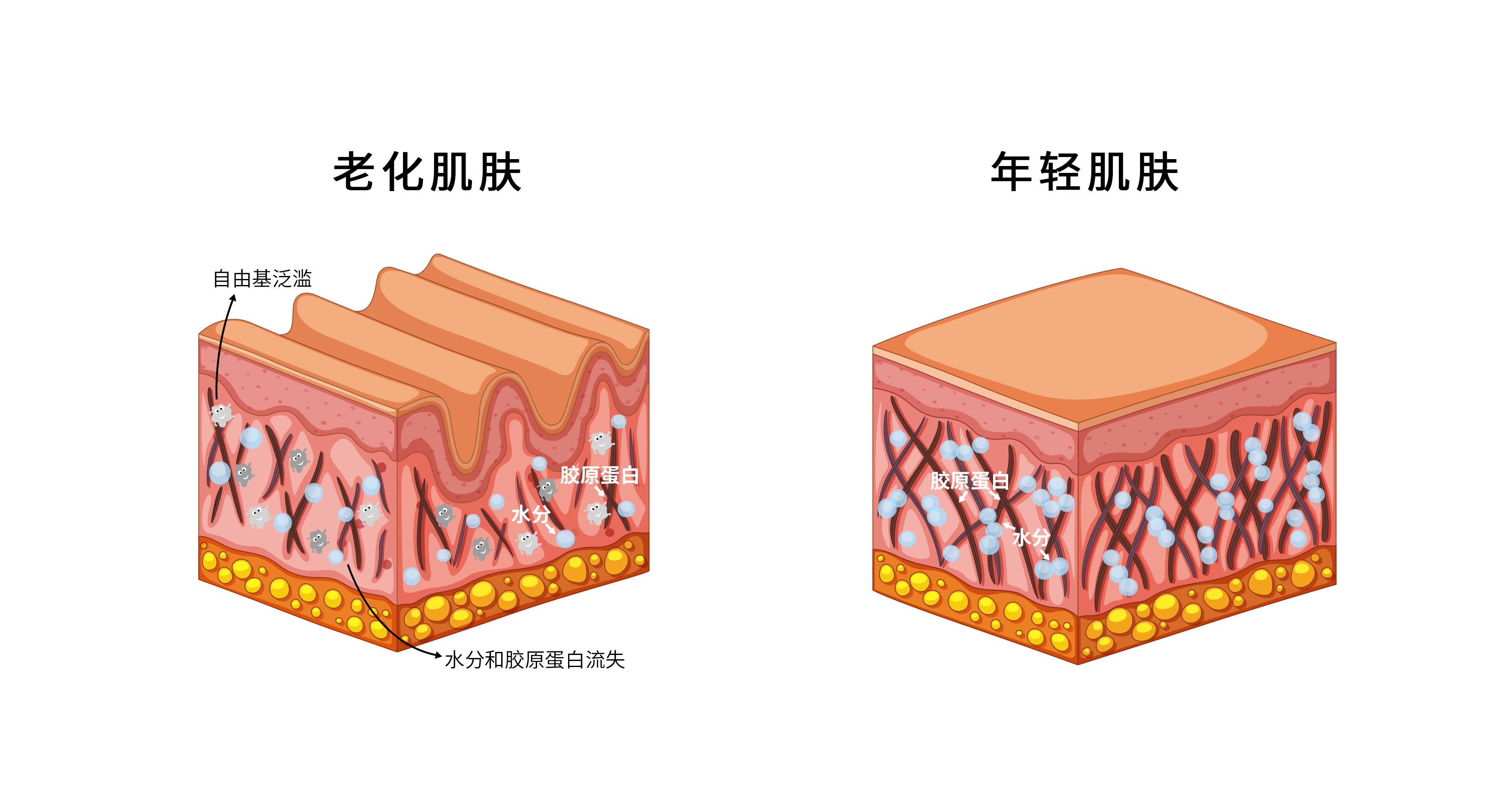 健康_健康管理师证书有用吗_健康管理