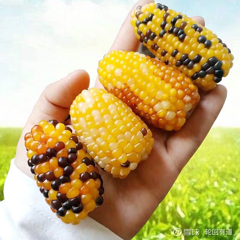 家电清洗加盟_家电_家电清洗培训去哪里学比较好