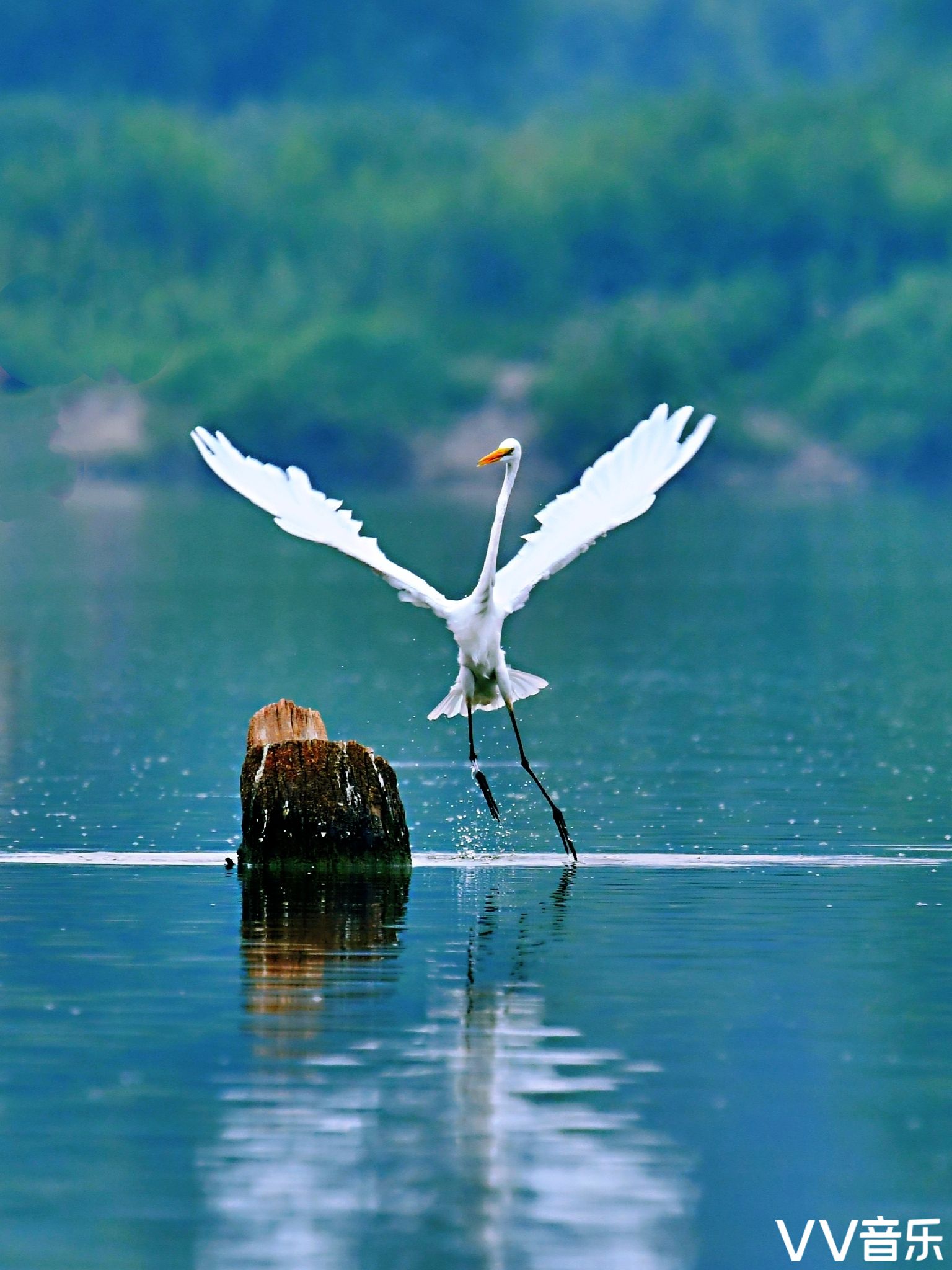 摄影艺术之美在于它的能力去捕捉时间的流逝