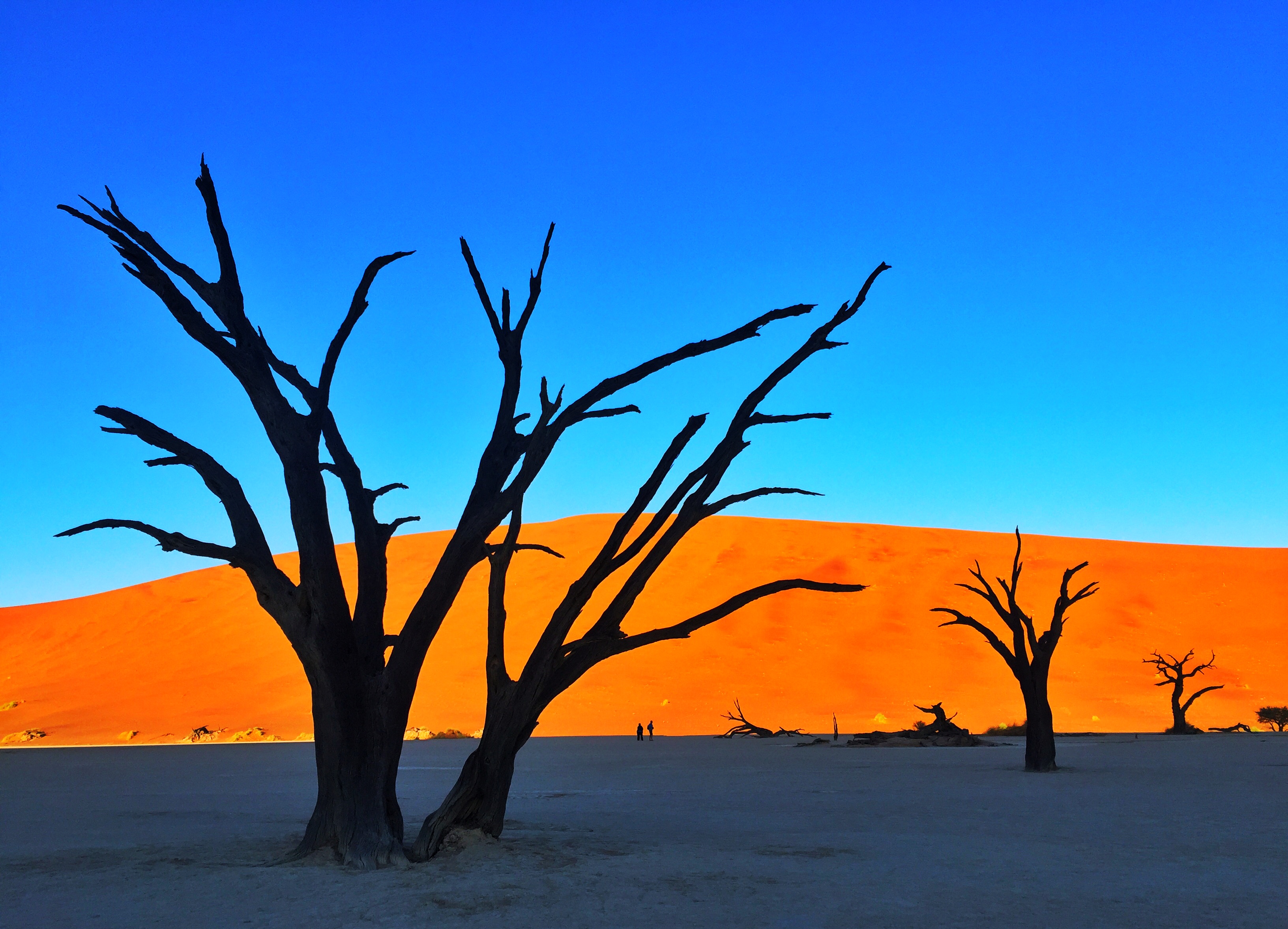 摄影培训_摄影_摄影摄像培训学校