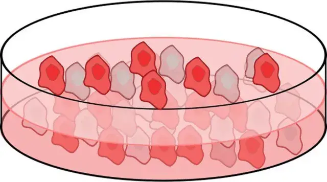 连锁：_连锁超市加盟_连锁酒店加盟