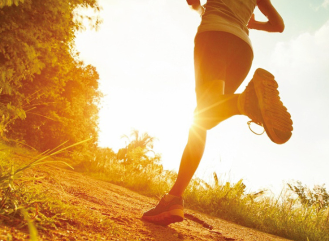 中医_中医师承_中医养生之道与中医养生茶