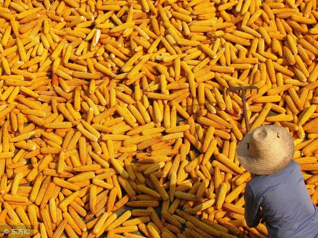 农业产排污系数体系构建与核算方法内容提要