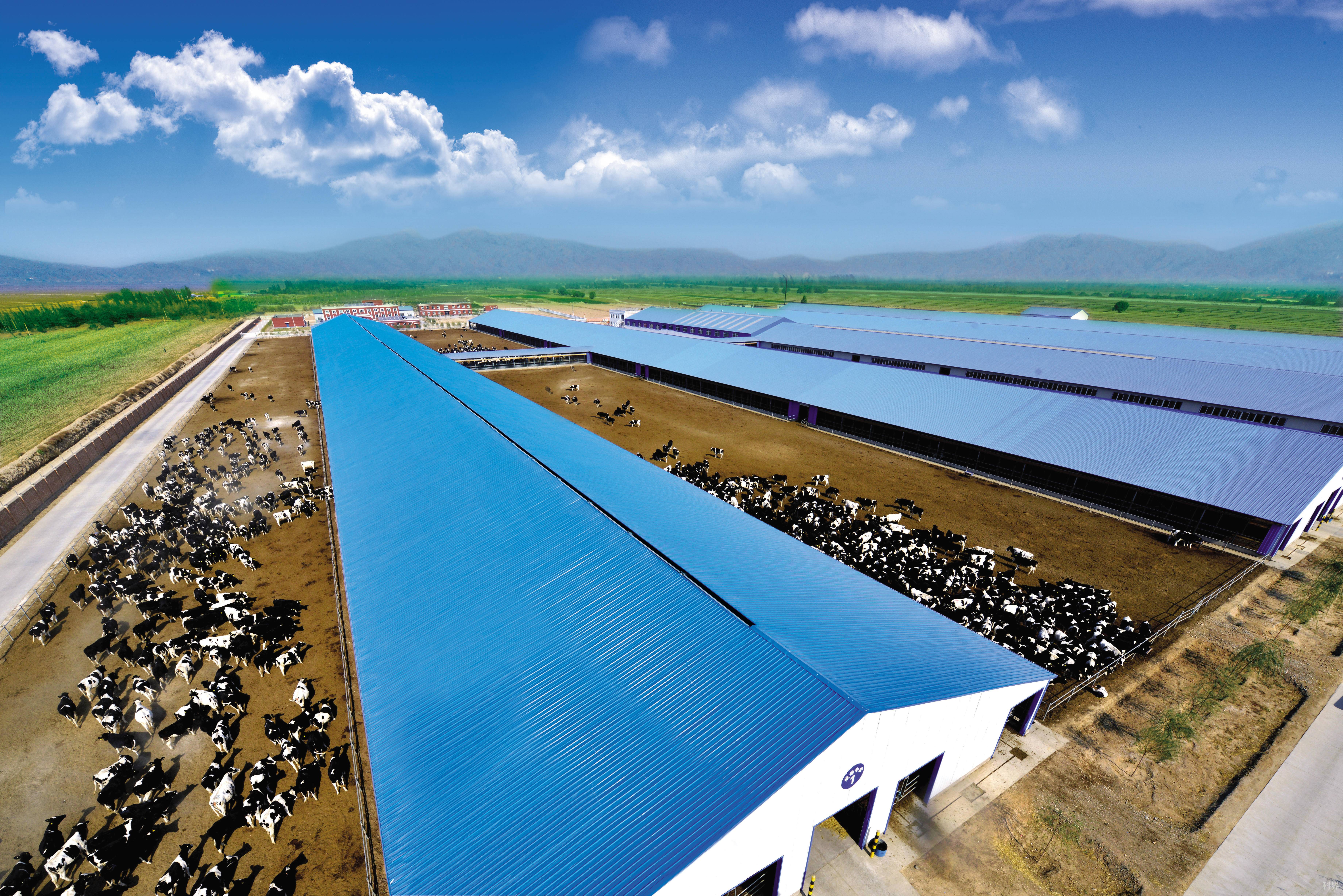 畜禽养殖_养殖畜禽种类填什么_养殖畜禽管理