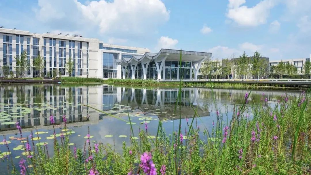 三峡大学会计专业专业硕士_专业_美术系专业最热门专业