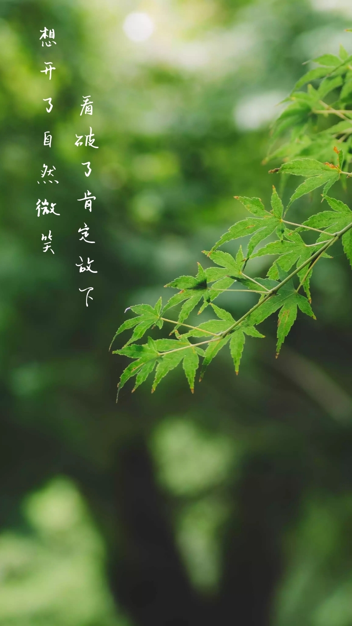 摄影_摄影摄像培训学校_摄影培训