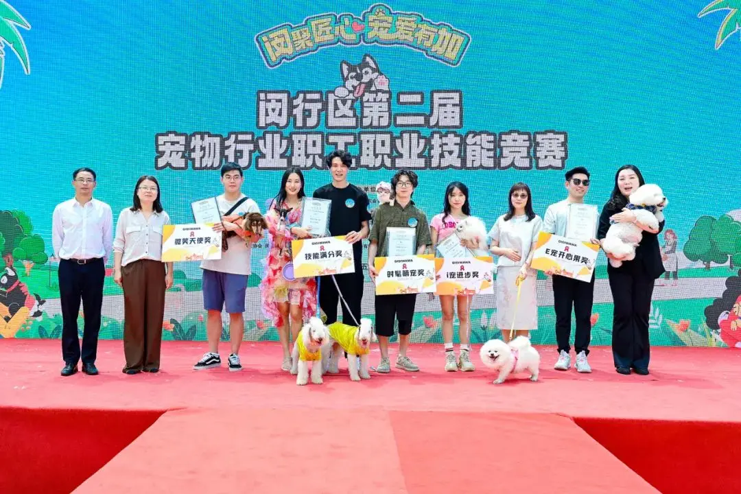 宠物美容心得体会总结:让宠物焕发青春活力的重要原则与技巧(图1) 宠物美容_美容宠物师_美容宠物游戏