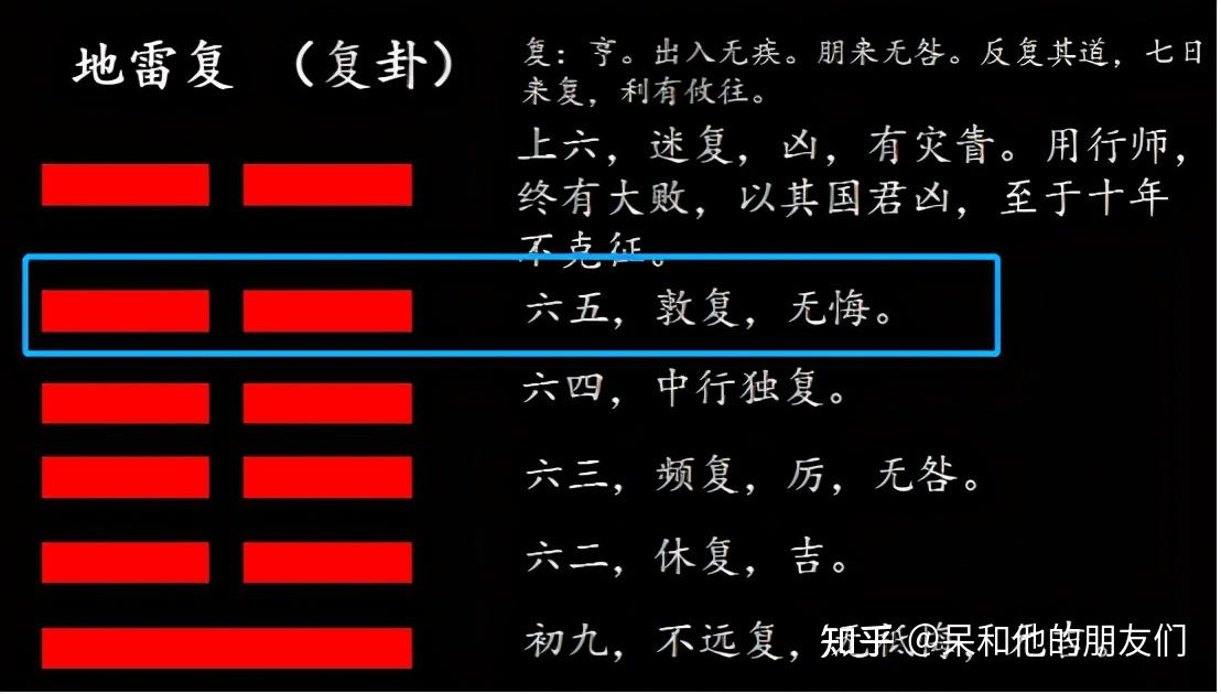 风水植物最好养哪几种_适合种大门口的风水植物_植物风水