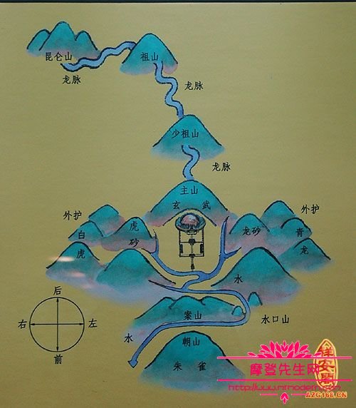 适合种大门口的风水植物_风水植物最好养哪几种_植物风水