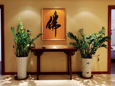 适合种大门口的风水植物_植物风水_风水植物什么最好