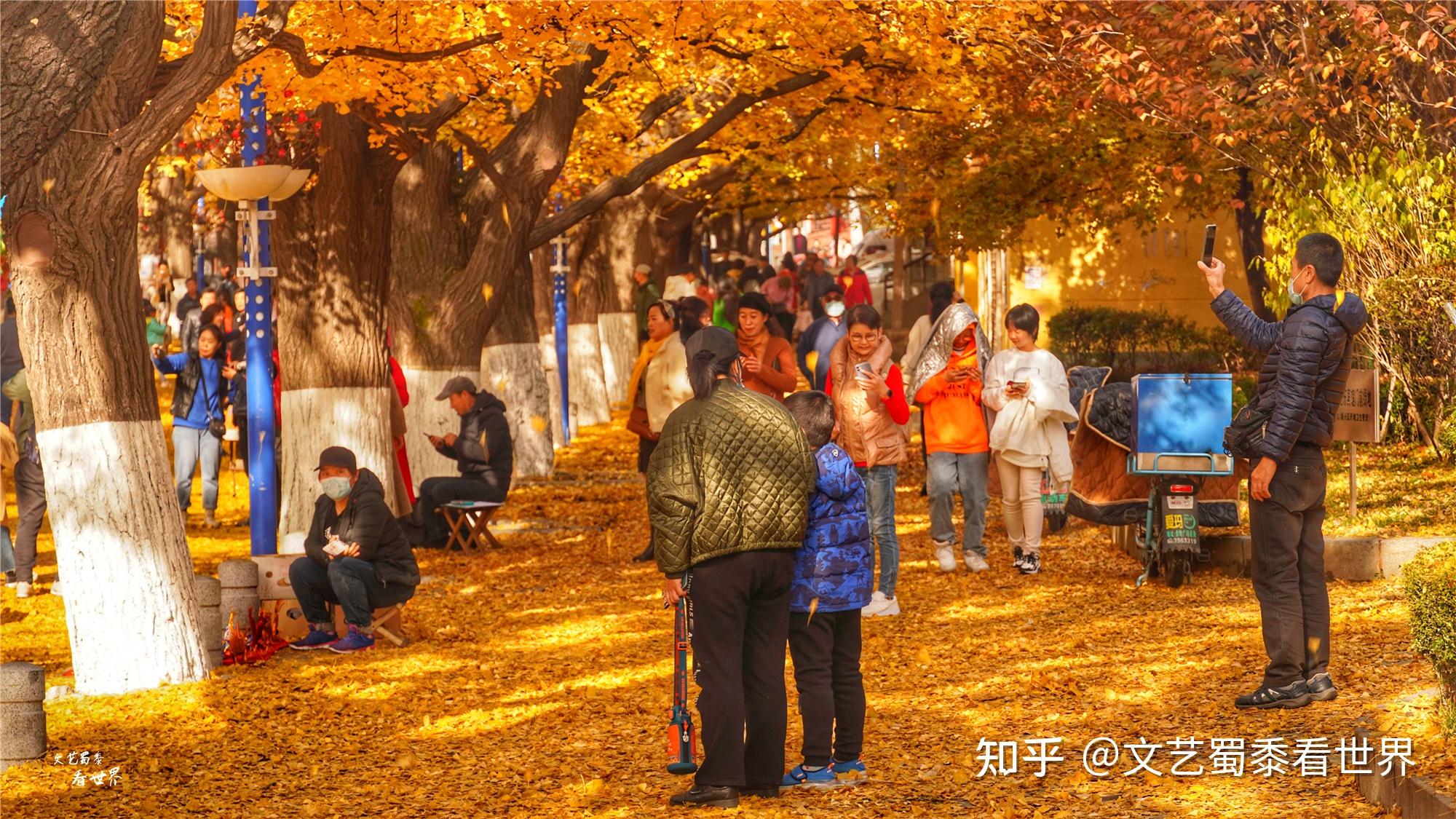 丹东天气_丹东新闻丹东五中_丹东