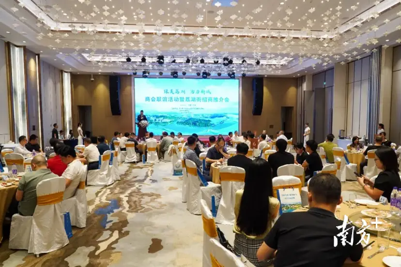 百色为什么叫百色_百色仔物流百色_百色