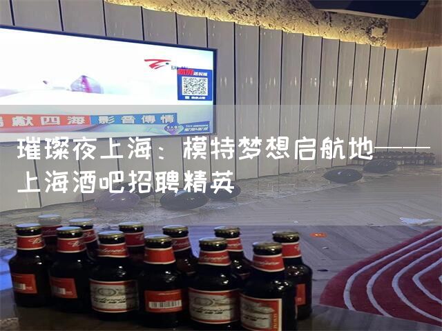 璀璨夜上海：模特梦想启航地——上海酒吧招聘精英