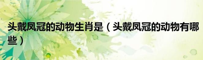穿凤冠游四方：生肖象征及词义解析 - 腿腿教学网
