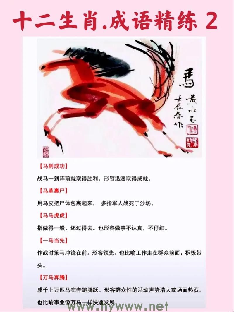 生肖代表不能完全确定，需要进一步词语解释和确认 - 腿腿教学网