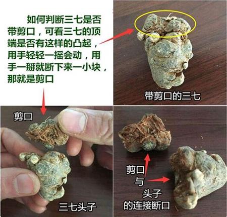 三七运在一二后代表什么生肖,最佳解释是什么? 三七运在一二后代表什么生肖,最佳解释是什么? - 腿腿教学网