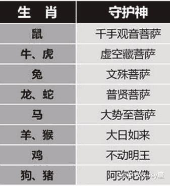 斗转星移的生肖动物，全面释义解析 - 腿腿教学网
