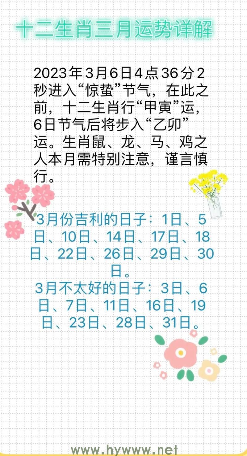 童言无忌，准确揭示生肖之谜【精选解释详解】 - 腿腿教学网