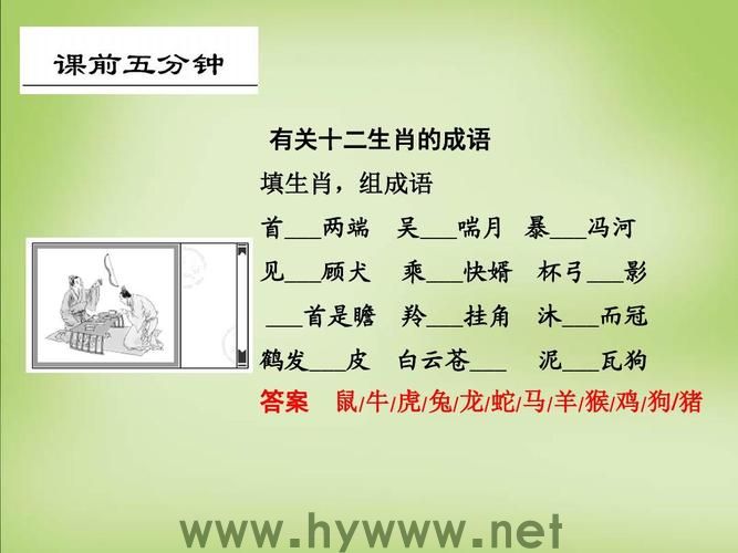 哪个生肖不能代表，最佳的成语解释 - 腿腿教学网