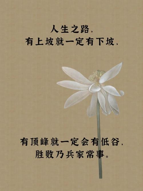 胜败乃兵家常事，比喻哪个生肖？成语释义详解 - 腿腿教学网