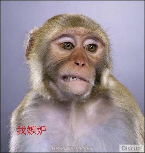 三七归来八得钱,指的是哪种动物?成语意思详解 三七归来八得钱,指的是哪种动物?成语意思详解 - 腿腿教学网