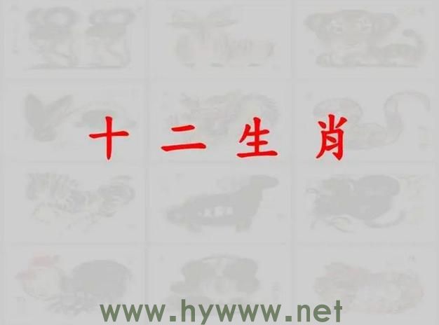 生肖二二四四是什么？答案揭晓！ - 腿腿教学网