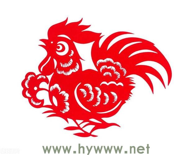 解析南北财四四六六生肖数字，详细探讨落实的含义 - 腿腿教学网