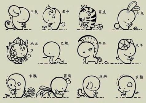 百里挑一：生肖动物是哪一个？详细解释与解读 - 腿腿教学网