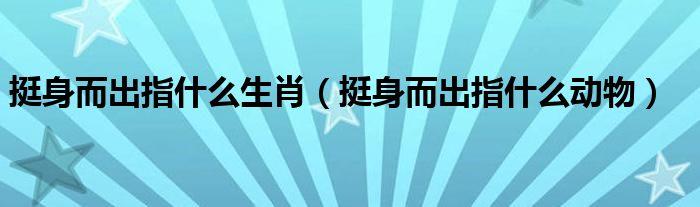 挺身而出,准确打猜生肖,经典解释深入实践 挺身而出,准确打猜生肖,经典解释深入实践 - 腿腿教学网