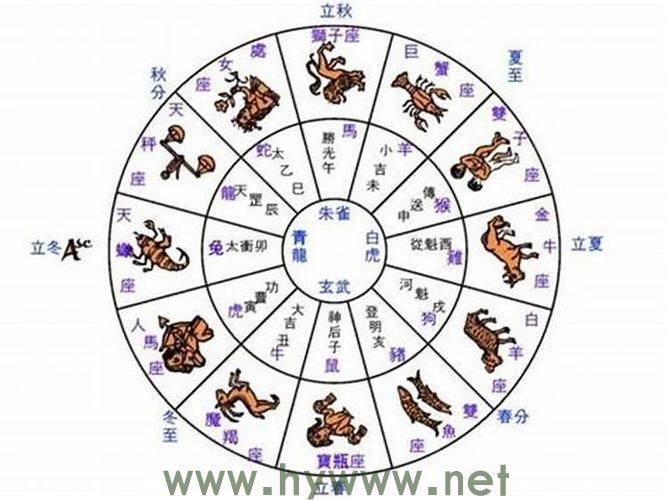 生肖的时来运转：深度解析分析 - 腿腿教学网