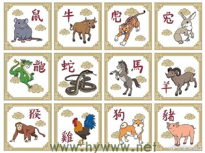 生肖中的 生肖中的