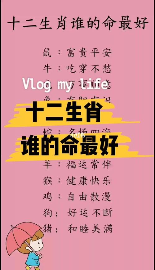 热气腾腾的生肖：最佳解释 - 腿腿教学网