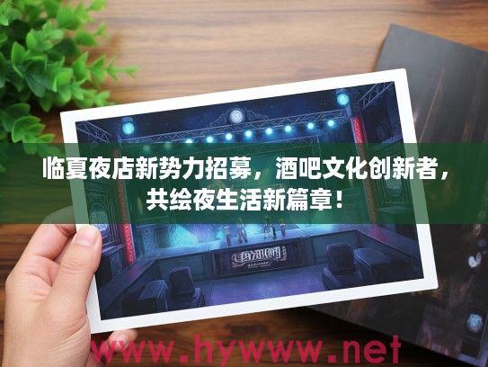 临夏夜店新势力招募，酒吧文化创新者，共绘夜生活新篇章！