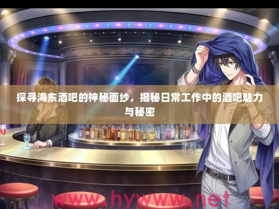 探寻海东酒吧的神秘面纱，揭秘日常工作中的酒吧魅力与秘密
