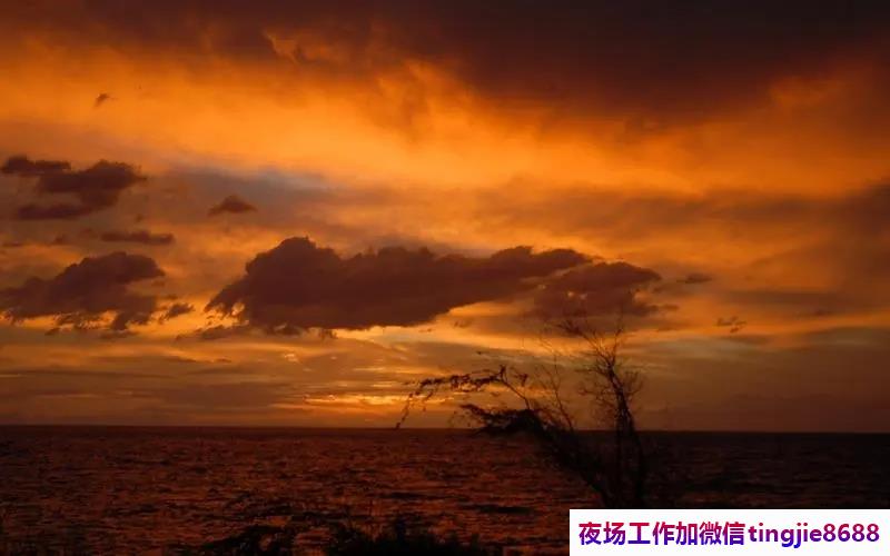 大理剑川高端酒吧佳丽女孩招募-大理剑川醴陵夜店KTV直聘-醴陵夜总会KTV直聘{每天64间房爆满}