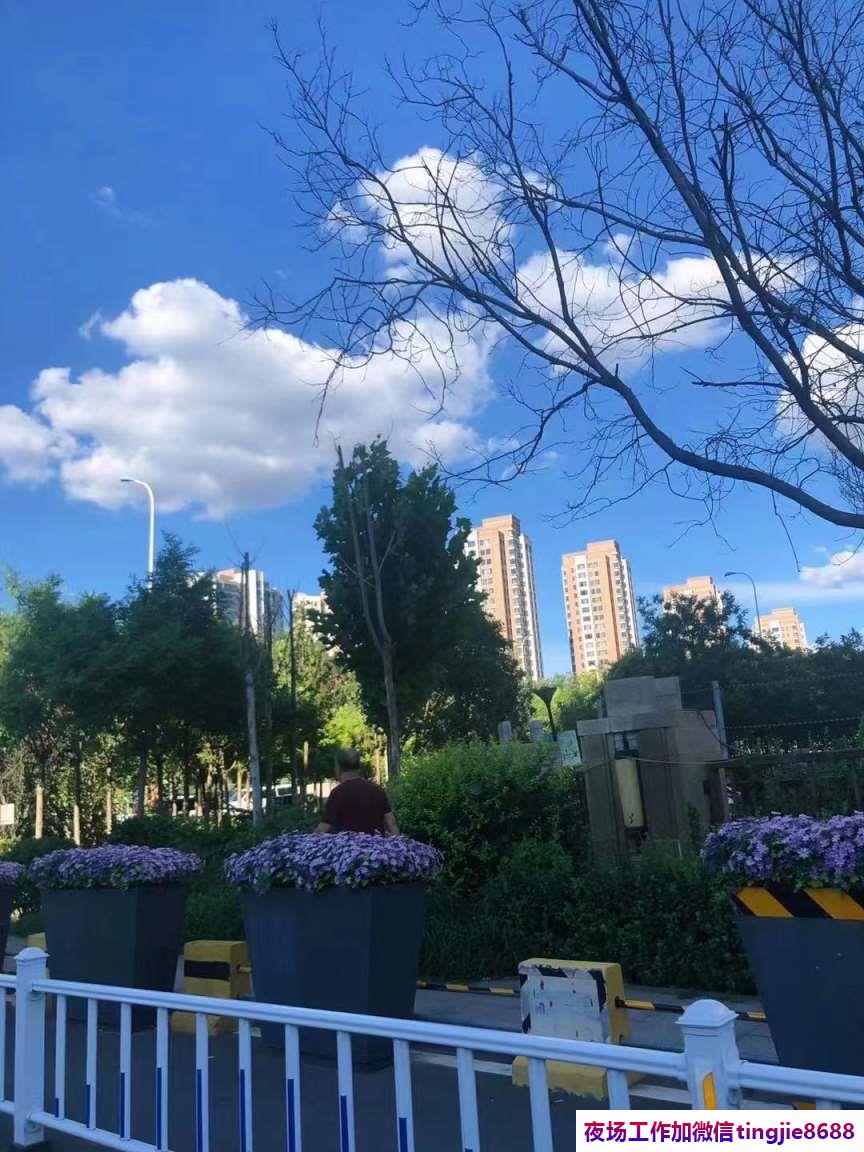 忻州岢岚高端夜店招聘佳丽-忻州岢岚夜总会KTV直聘女孩{真实夜店酒吧直招型男}全场日结1500起步